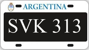 Patente SVK313