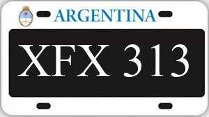 Patente XFX313